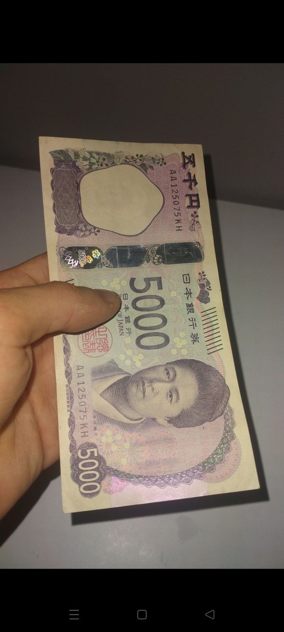 Renkli Japon 5000 Yen Hediyesi - Görsel 4