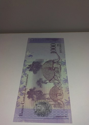 Venezuela 1000 Bolivar Kağıt Para Hediyesi - Görsel 4