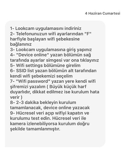 Beden Renk Çalar saat görünümlü kutulu gizli kamera