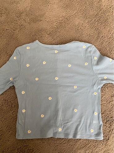 Stradivarius stradivarius hirka