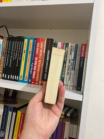  Nietzsche Ağladığında