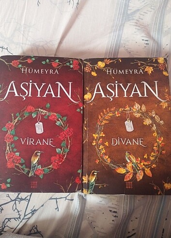 Aşiyan roman 