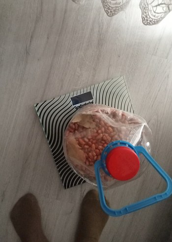 barbunya - Görsel 3