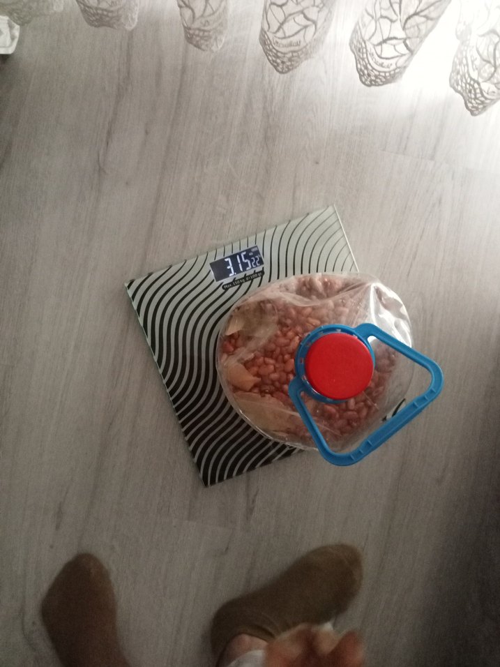 barbunya - Görsel 4