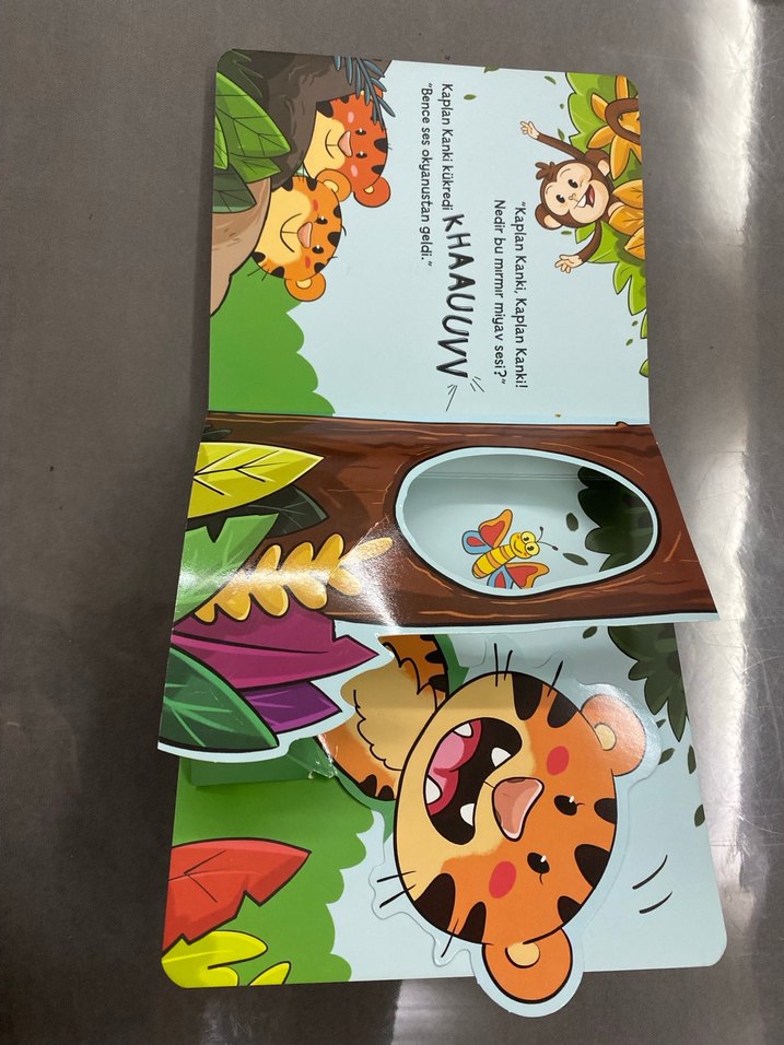 Pop-up ile Keşfet Arkadaşlık Ormanı - Görsel 2