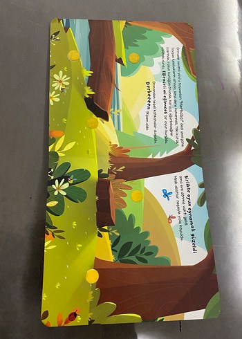 Merhaba Orman - Cırt Cırtlı Hikaye Kitabı - Görsel 2