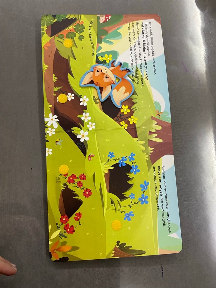 Merhaba Orman - Cırt Cırtlı Hikaye Kitabı - Görsel 3