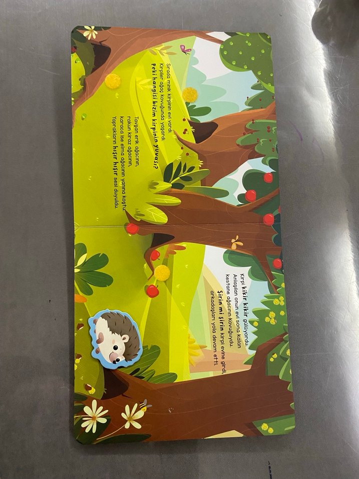 Merhaba Orman - Cırt Cırtlı Hikaye Kitabı - Görsel 4