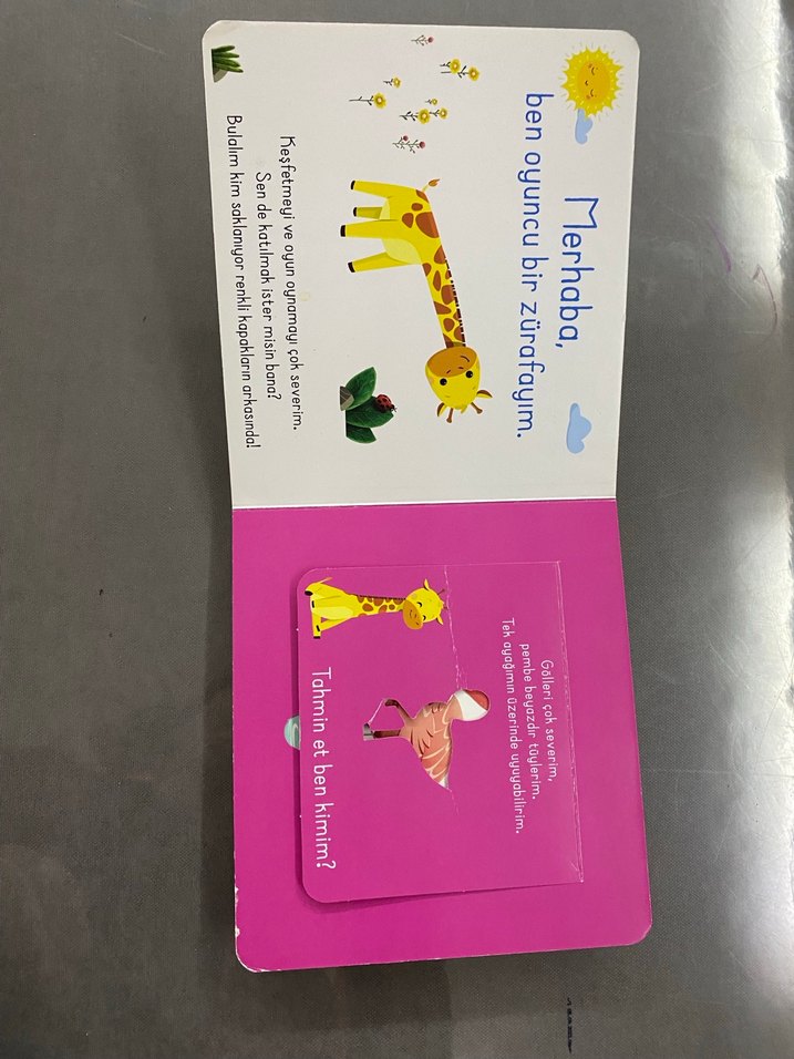 Bak-Bul Sobe: Oyuncu Zürafa Çocuk Kitabı - Görsel 2