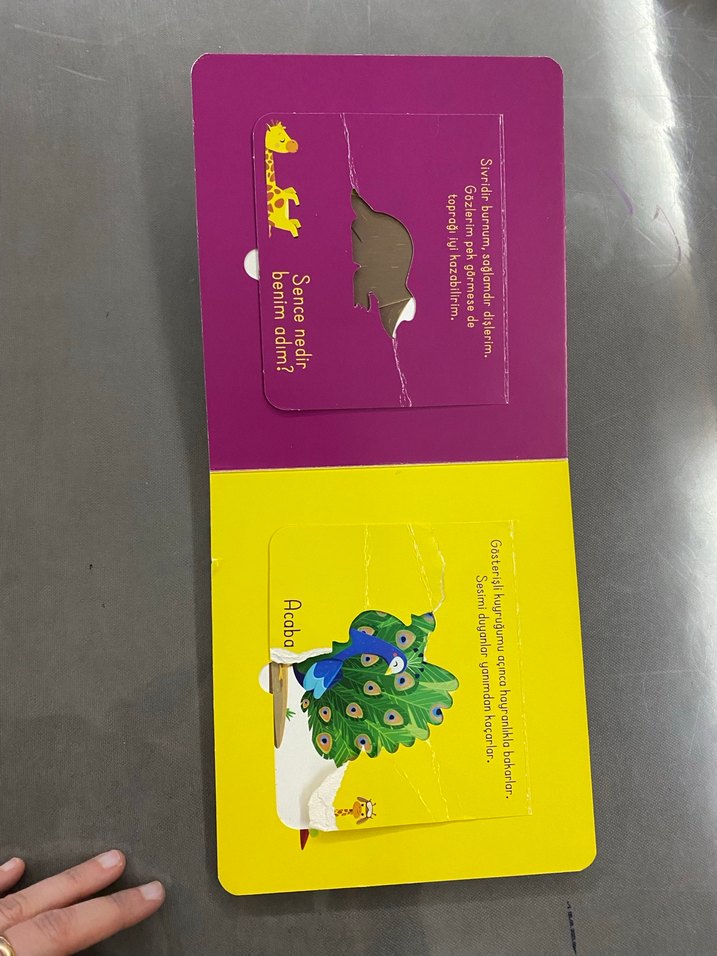 Bak-Bul Sobe: Oyuncu Zürafa Çocuk Kitabı - Görsel 5