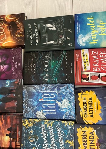 Çeşitli Roman Kitap - Görsel 3