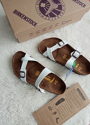 Birkenstock arizona terlik 