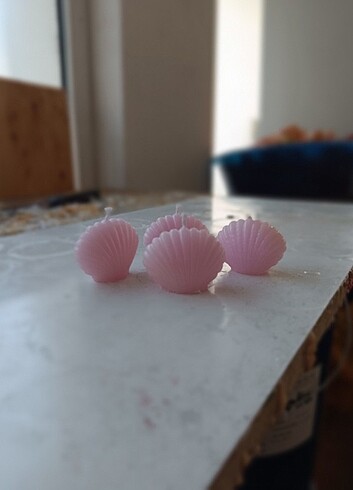 Mini istiridye mum 