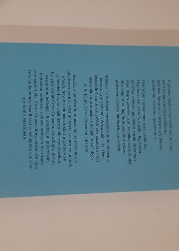 Bana Düşlerini Anlat - Cevat Çapan Şiirleri - Görsel 2