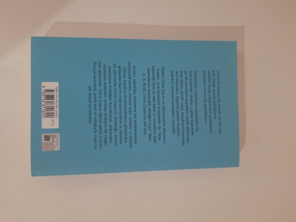 Bana Düşlerini Anlat - Cevat Çapan Şiirleri - Görsel 2