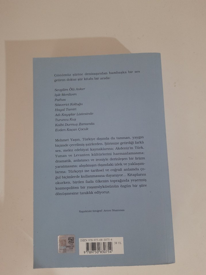Mehmet Yaşın - Dokuz Şiir Kitabı (1975-2013) - Görsel 3
