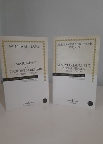 Puşkin ve William Blake Şiir Kitapları
