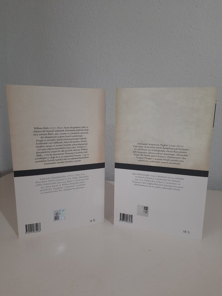 Puşkin ve William Blake Şiir Kitapları - Görsel 2