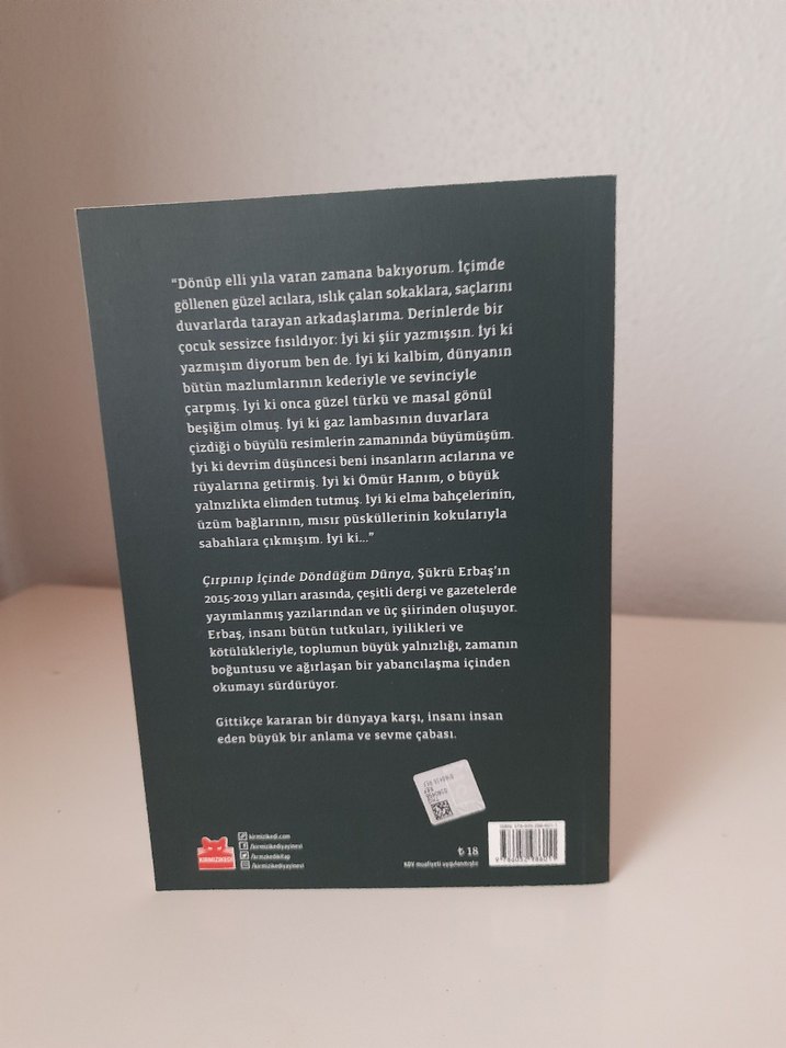 Şükrü Erbaş - Çırpınıp İçinde Döndüğüm Dünya - Görsel 2