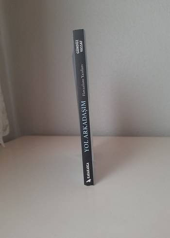 Gündüz Vassaf - Yol Arkadaşım - Görsel 2