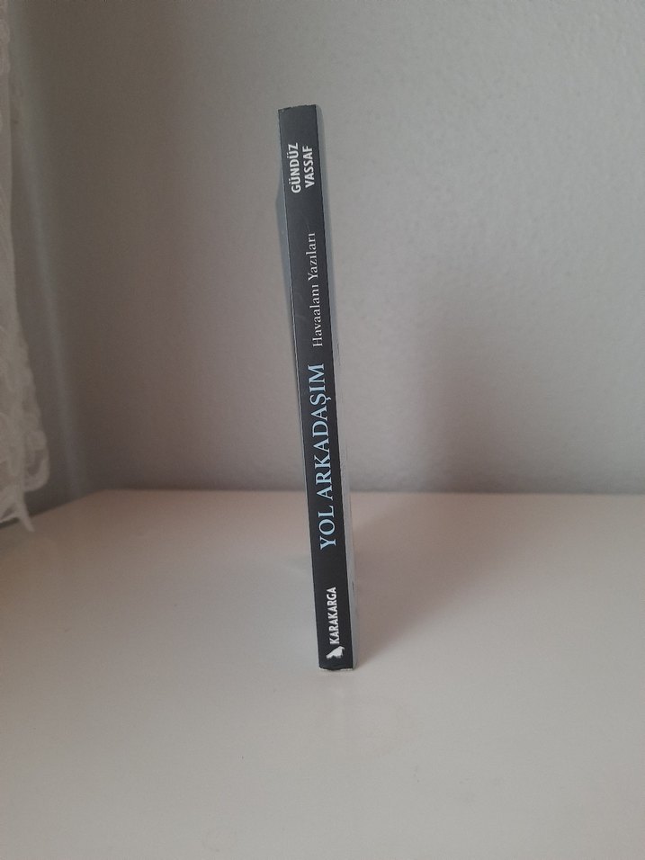Gündüz Vassaf - Yol Arkadaşım - Görsel 2