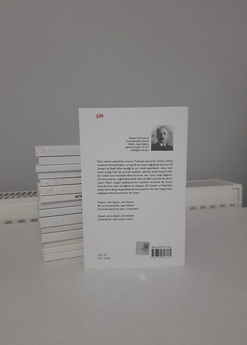 Bir Günün Sonunda Arzu - Ahmed Hâşim (Şiir) - Görsel 2