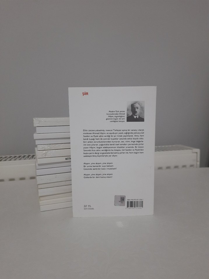 Bir Günün Sonunda Arzu - Ahmed Hâşim (Şiir) - Görsel 2