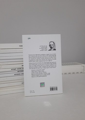 Göklerde Eriyip Gitmek İsterdim - Joseph Marti (Şiir) - Görsel 2