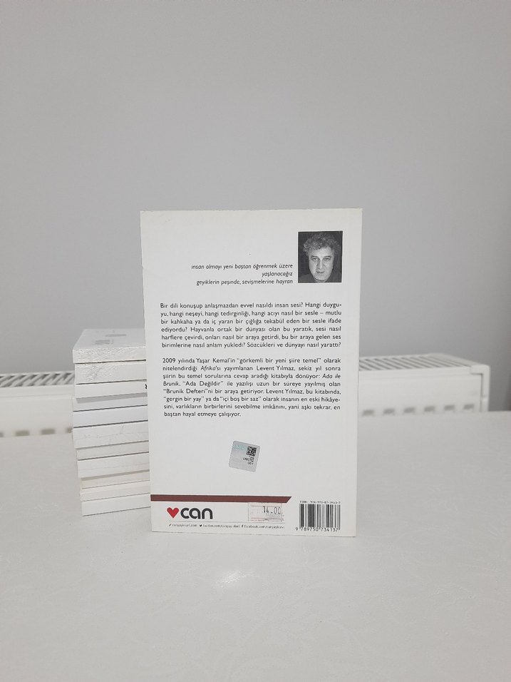 Ada ile Brunik - Levent Yılmaz - Görsel 2