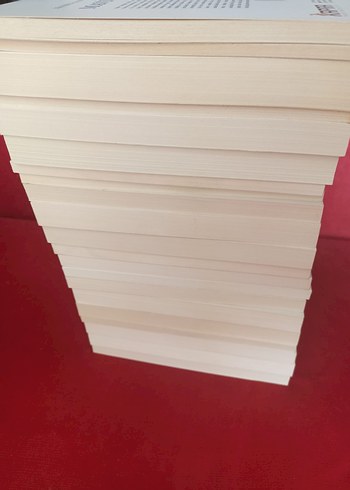 Klasik Edebiyat Kitapları Seti - Görsel 6