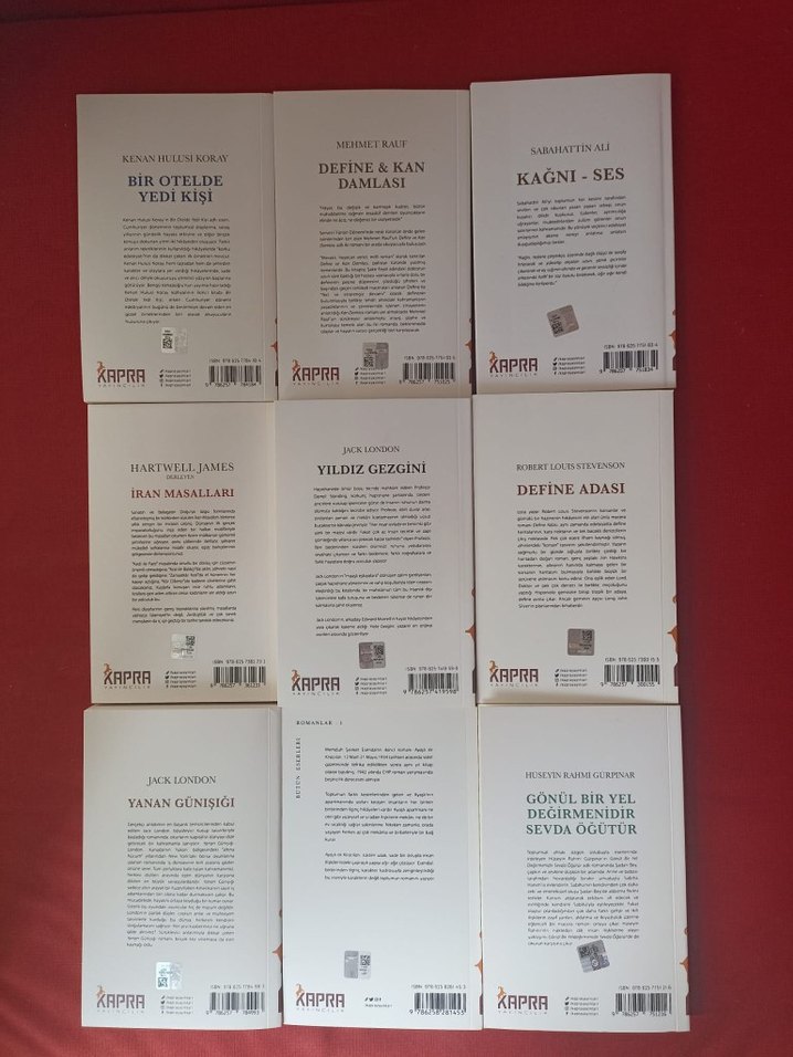 Klasik Edebiyat Kitapları Seti - Görsel 4