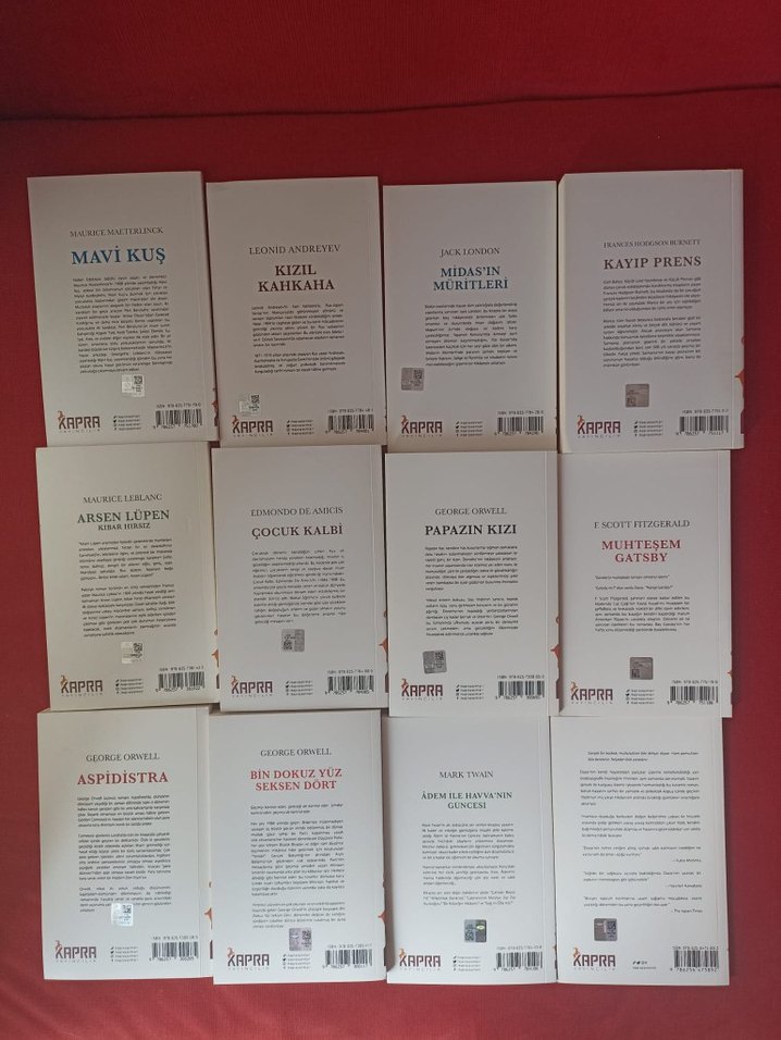 Klasik Edebiyat Kitapları Seti - Görsel 3