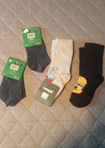 Erkek Çocuk Gri Düz Çorap Seti 5 cift - Görsel 3