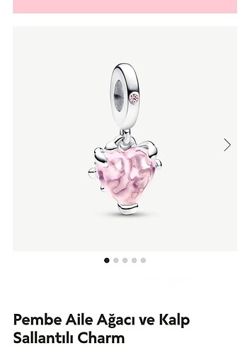 Pembe Taşlı Aile Ağacı Kalp Charm 