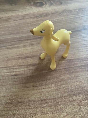  Beden Renk Sky Köpek