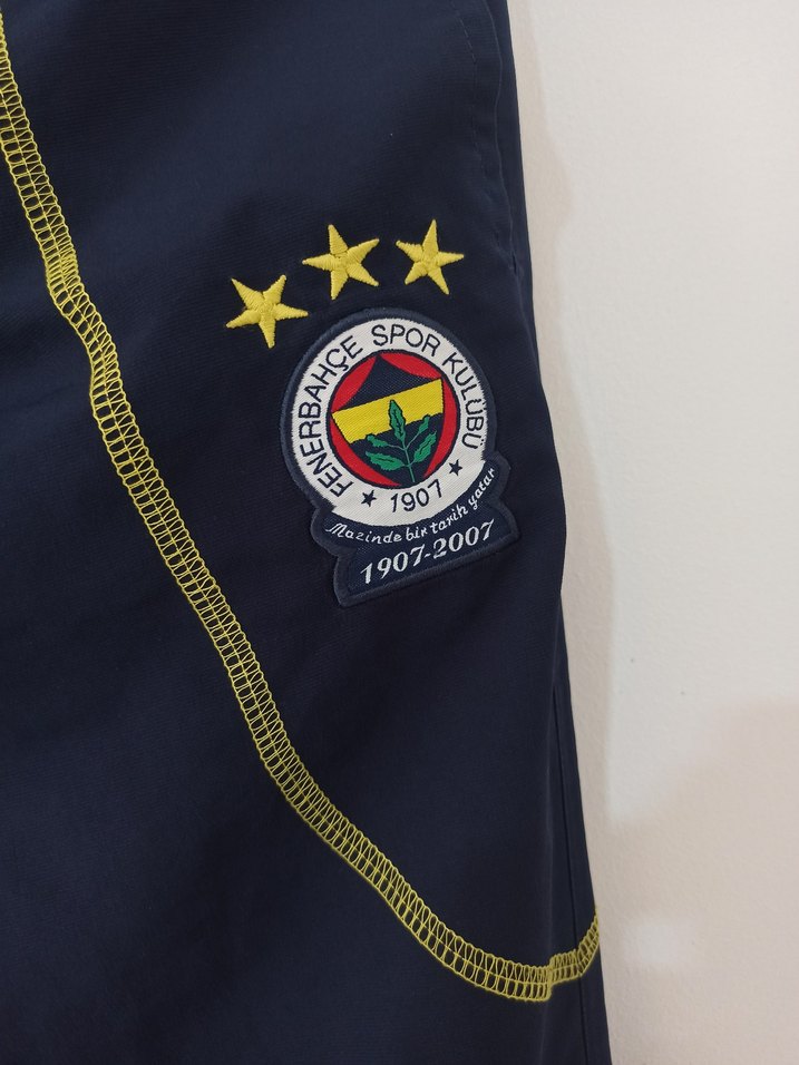 Fenerium Fenerbahçe 100. Yıl Vintage Nakışlı Erkek Eşofman Altı - Görsel 2