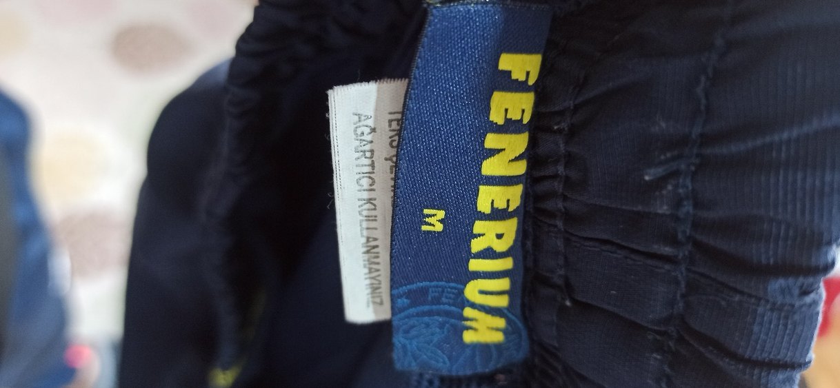 Fenerium Fenerbahçe 100. Yıl Vintage Nakışlı Erkek Eşofman Altı - Görsel 5