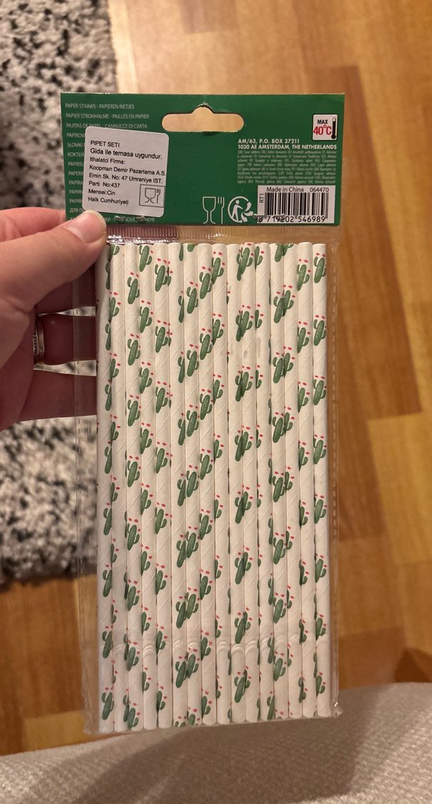 Kaktüs Desenli Pastel Renkli Kağıt Pipetler 16lı - Görsel 2