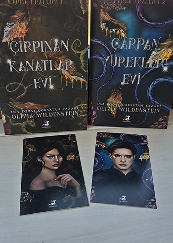 Çırpınan Kanatlar Evi ve Çarpan Yürekler Evi Seti