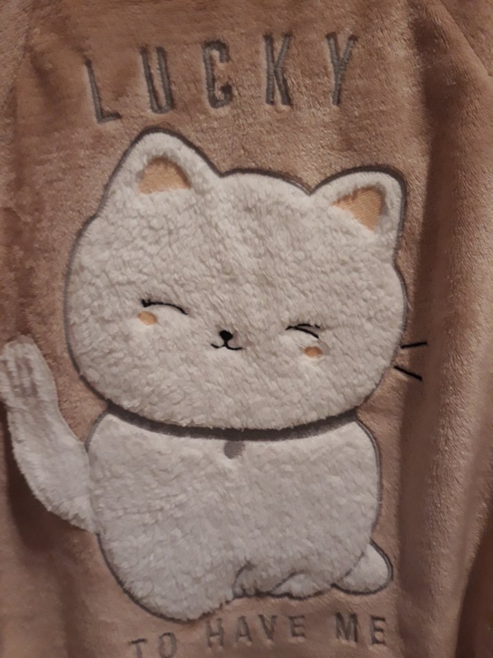 Bej Peluş Kedi Desenli Street Wear Sweatshirt - Görsel 4