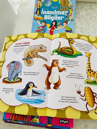 Beden Kids! cool facts serisi, Pogo yayınları , 11 kitap