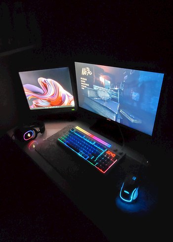 Monitor