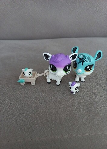  Beden Lps minis