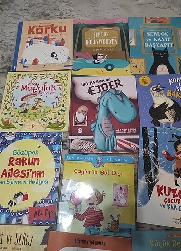  Beden Renk 20 kitap