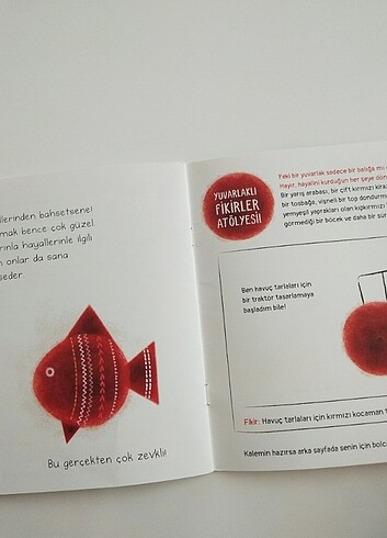 Kırmızı yuvarlak - Görsel 5