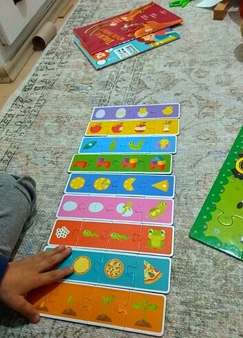  Beden Renk Puzzle olay sirasi tamamlama