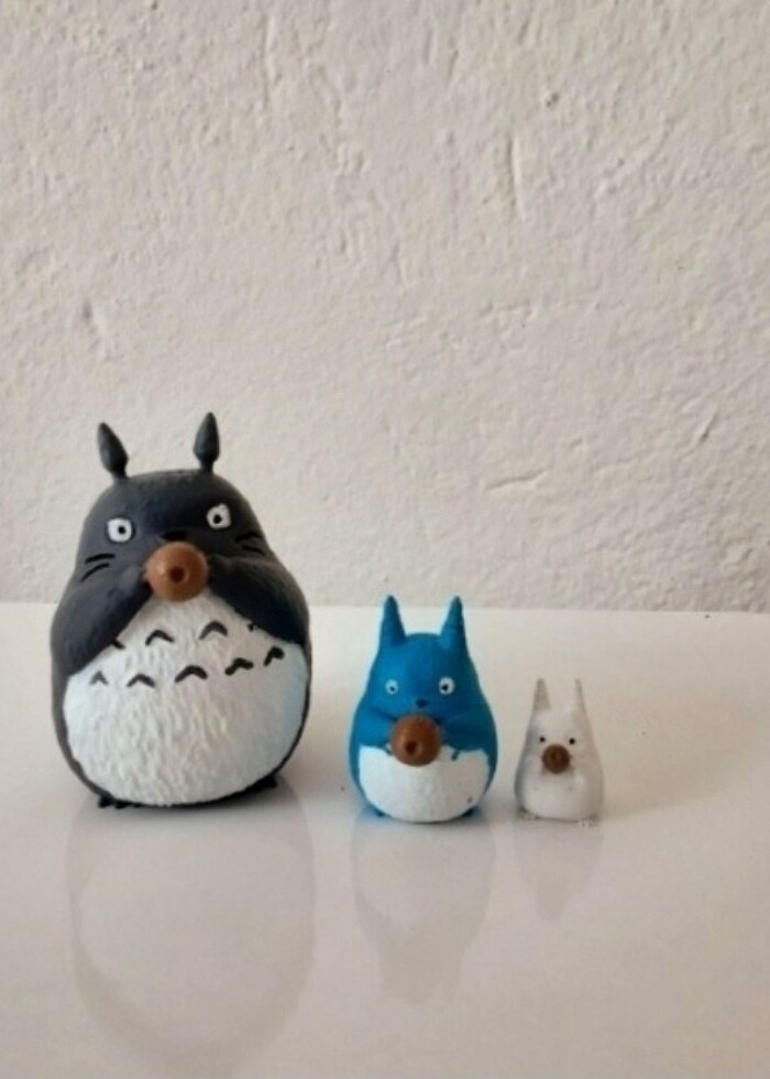 Komşum Totoro - Görsel 4