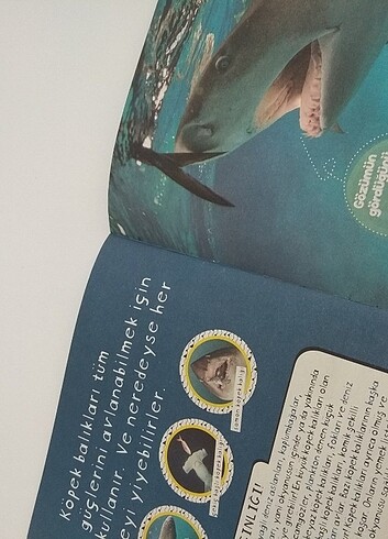 Çocuk kitapları  - Görsel 3