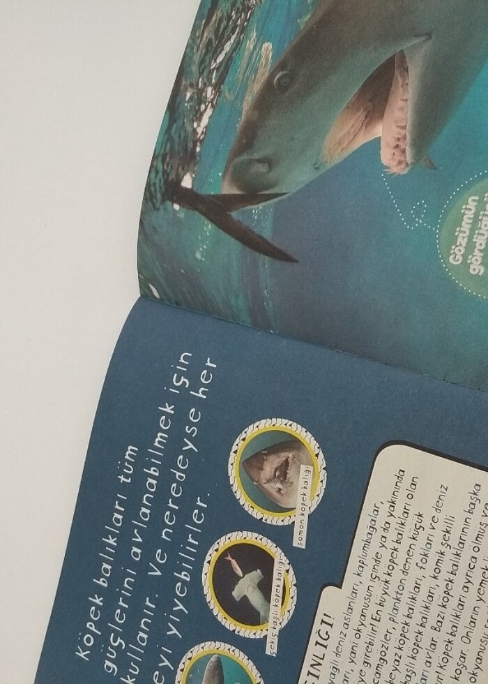 Çocuk kitapları  - Görsel 3