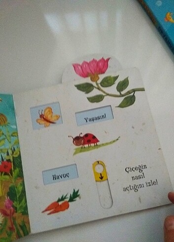 Hareketli kıtaplar - Görsel 7